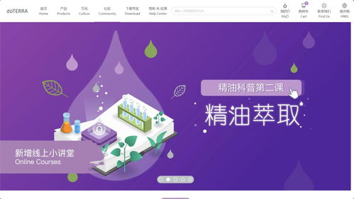 多特瑞中国官网焕新上线，携手瑞刷网络开启数字化新征程